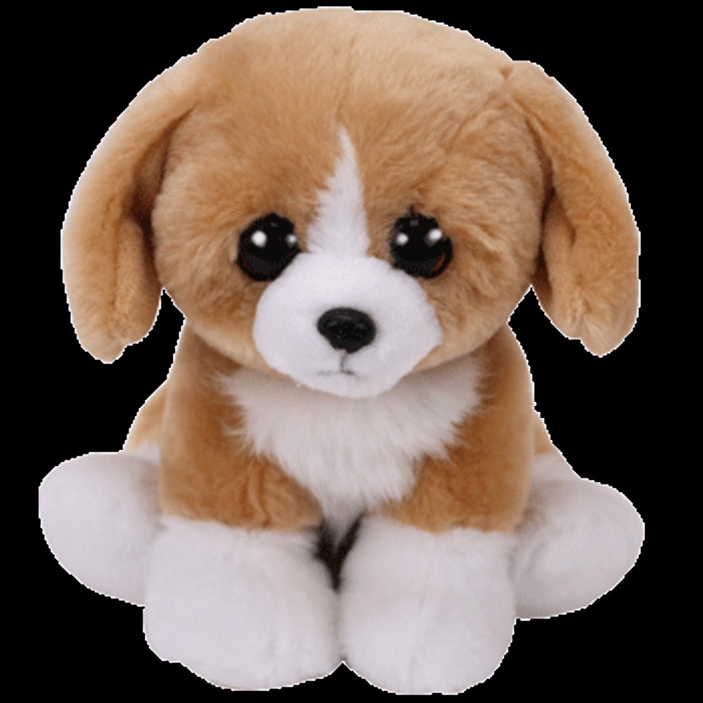 Ty Beanie Babies Franklin The Dog Plush - Picture 4 of 4